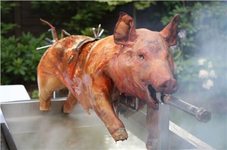 Peppered pig