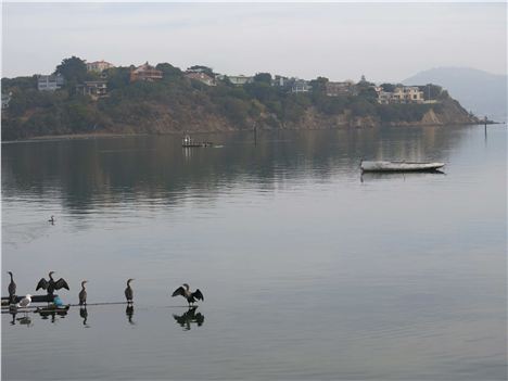 View From The Yellow Ferry