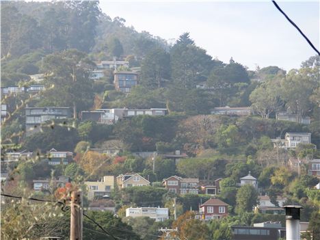 Houses Cling To The Hillsides In Sausalito