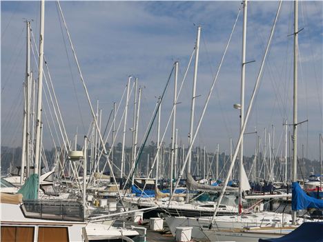 The Marina At Sausalito