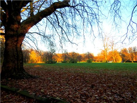 Sefton Park Meadows %282%29