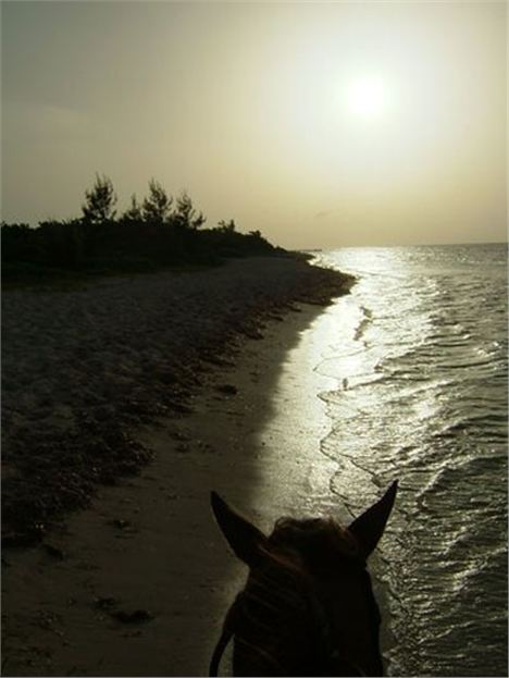 Riding At Sundown