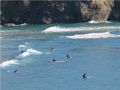 Wild Coast, Surfers