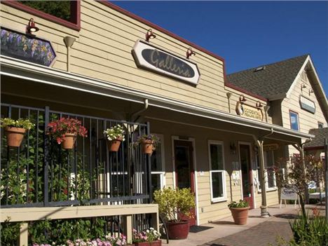 Main Street In Occidental