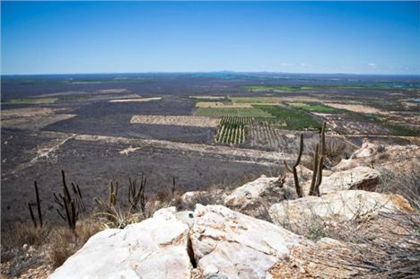 Brazilian wine territories are very different for the Old World