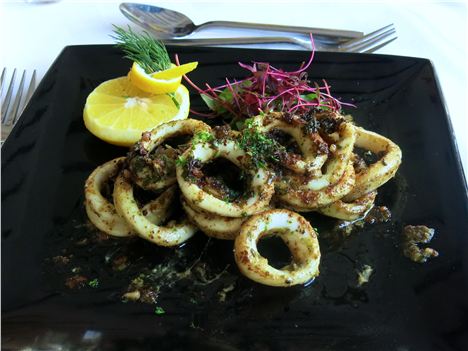 Calamari