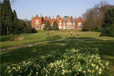 Abney Hall Park gets the daffs