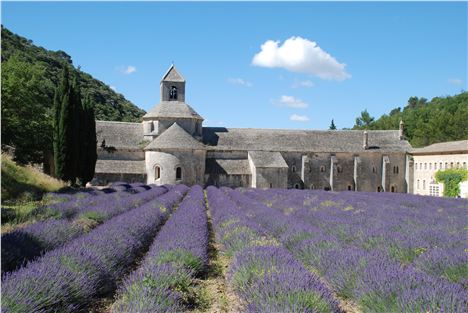 Sénanque Abbey