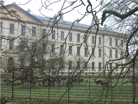 Magdalen's Deer Park And New Building