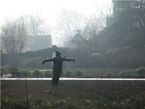Scarecrow In The Misty Manoir Kitchen Garden