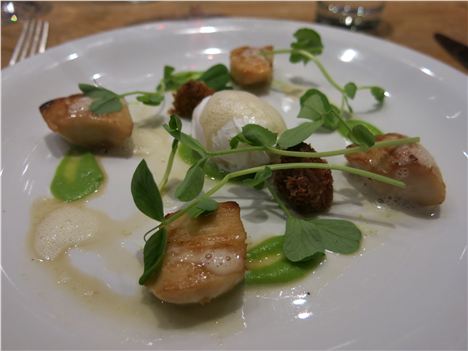 Scallops And Sweetbreads, Beeley