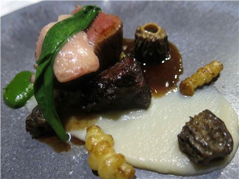 Bohemia %26#8211%3B Aged Beef, Jersualem Artichoke, Morel