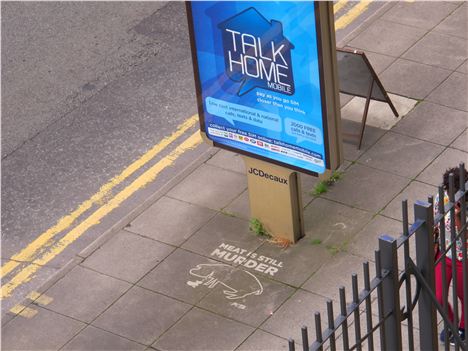 Pigs on pavements