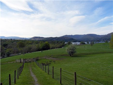 View From The Summer House