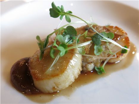 Scottish Scallops, Confit Chicken, Shallot Puree