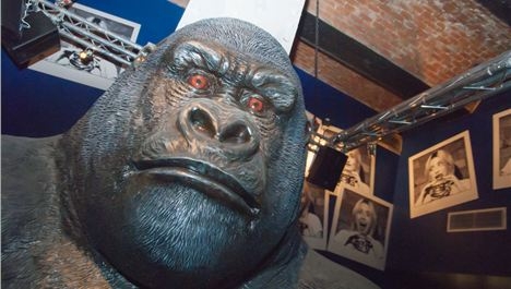 Famous Gorilla: 'Come on Japan'