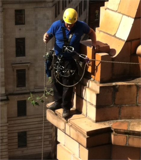 Get that shrub Mr Cornice-Walker