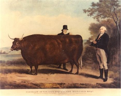 James Martin And Douglas Crampton Asking An Ox If It's British
