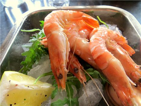 Jumbo shrimp...or even prawn