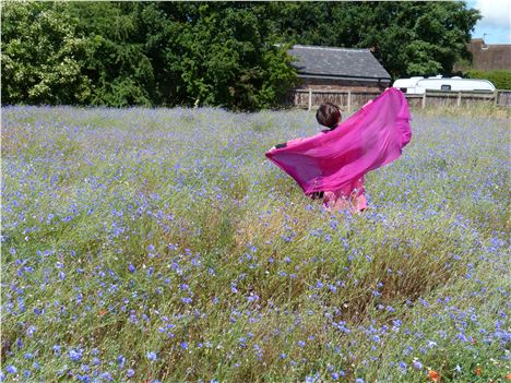 Mrs Zhou From Chengdu In A Landlife Cornflower Field On Kirkby