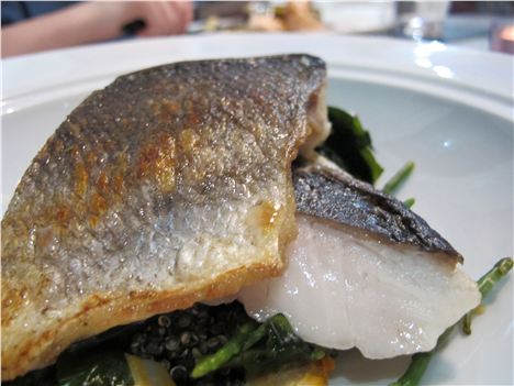 Sea bream (£16.50)