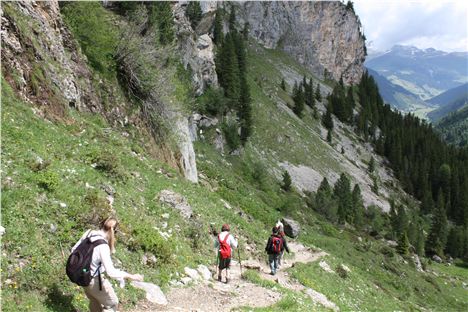 Walk From Sommerberg Alm Down To Valley Station With Roman Erler - Credit Tirol Tourist Board%2854%29