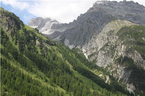 Swiss National Park