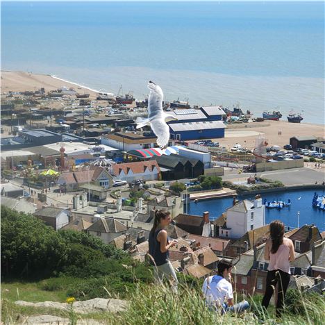 View Of Rock-A-Nore From The West Hill %28With Seagull%29