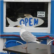 Customer Outside The Blue Dolphin