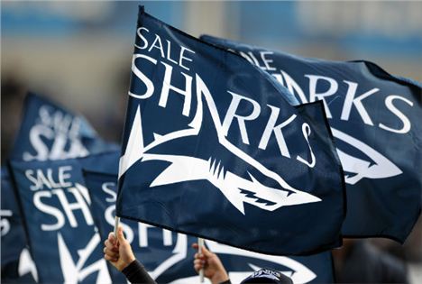 Sale Sharks