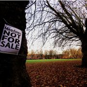 Sefton Park Meadows