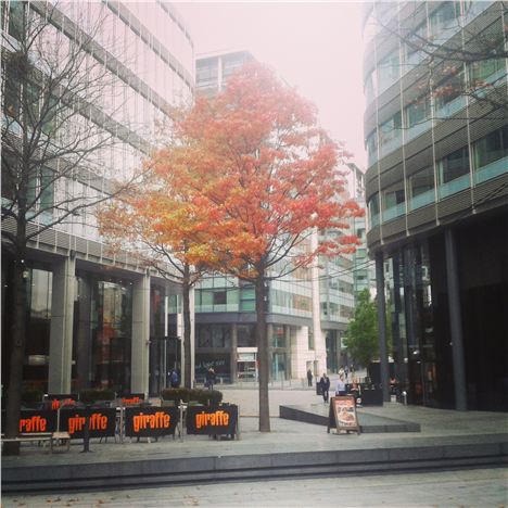 Autumn in Spinningfields