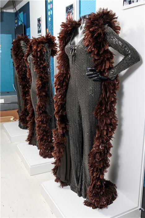 Supremes Costume2