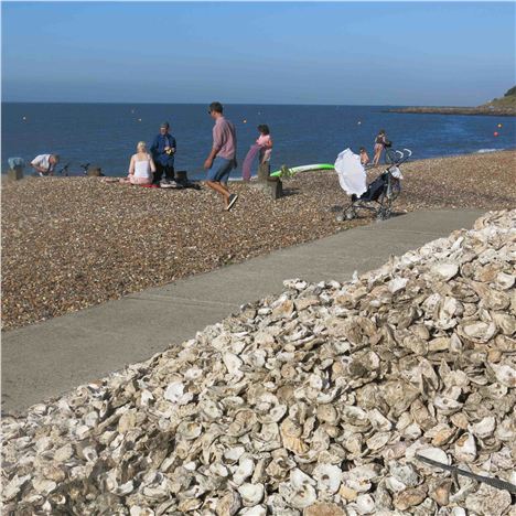 Oyster Shell Pile, Whitstable