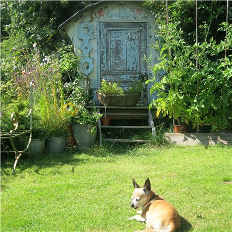 Captain Smidge Relishes The Sun-Trap Garden