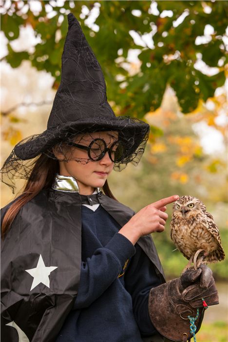 Spooktastic Safari Halloween - Sophie Searle, 9, Preparing For A Halloween Extravaganza At The Reserve 5