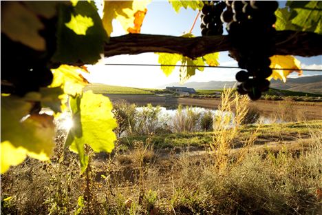 The Ctreation Winery In South Africa