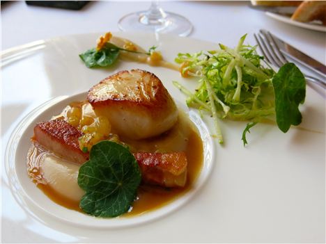 Scallop