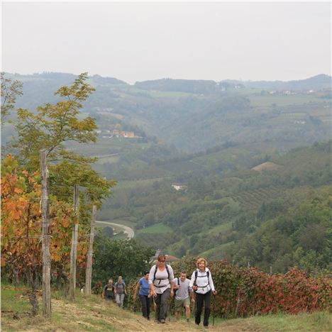 An Uphill Trek For The Hedonistic Hikers