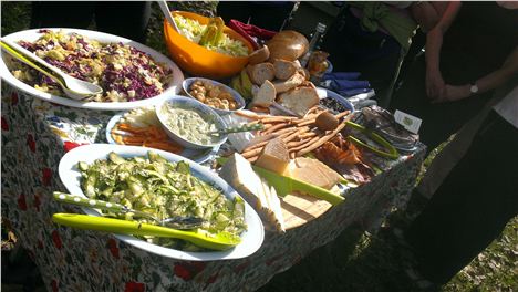 What A Picnic Spread