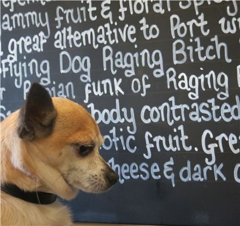 Smidge Checks Out The Beer List At Tweedies