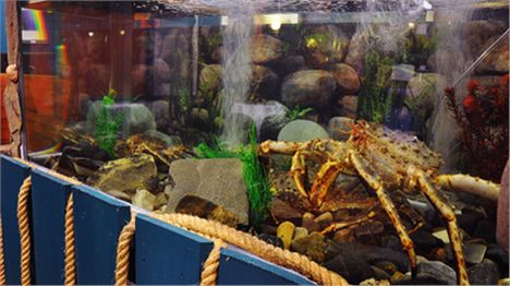 King Crab House Tank