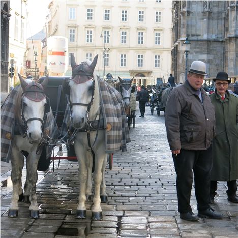 Stephansplatz Carriage Drivers