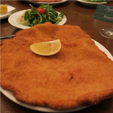 The Mighty Overlapping Schnitzel