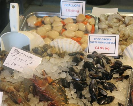 Shellfish Counter