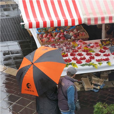 Raining On The Market