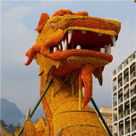 Lemon Festival Dragon