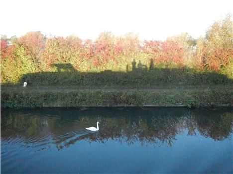 Time To Reflect . . . The Boat's Silhouette On A Hedgerow